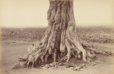 Forsaken by Willoughby Wallace Hooper
